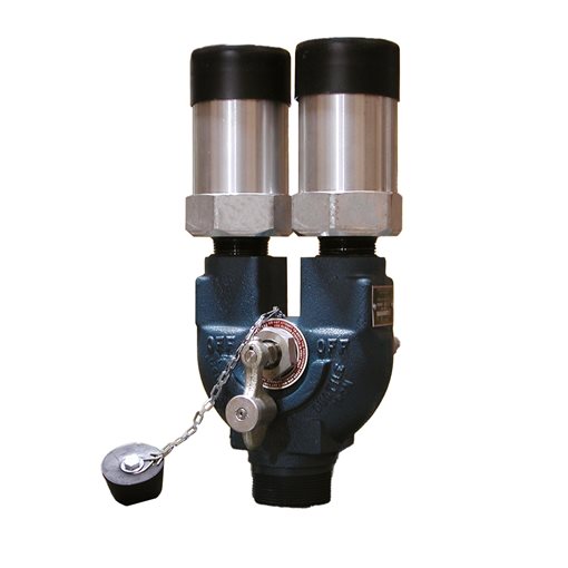 LPG Press.Relief Valves 250 psig, REGO DUOPORT 8542G 2"