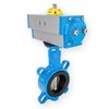 BELGICAST Btfly Valve 316 w. DAPA 65mm