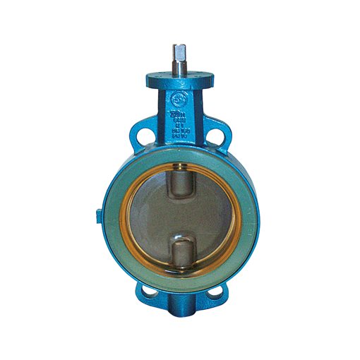 Butterfly Valves EBRO Z011-K1/GMX DN125