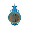 Butterfly Valves EBRO Z011-K1/GMX DN125