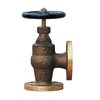 Angle Bronze Globe Valves Flanged JIS 5K F7302 65mm