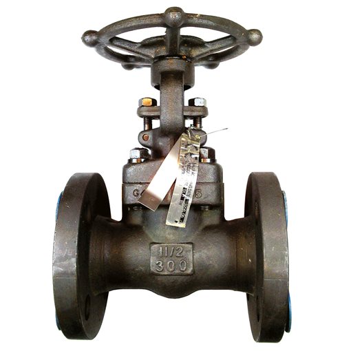 FLUVAL Gate Valves A105/8 300 1"