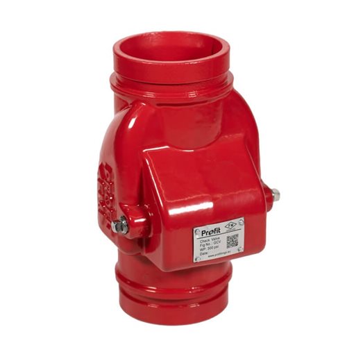 Profit Grooved Check Valve 300psi FM 2 1/2"
