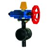 FIVALCO Grooved Butterfly Valves FPBG-300G UL/FM 5"