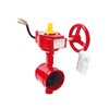 APC  Grooved Butterfly Valves UL/FM 2.1/2"