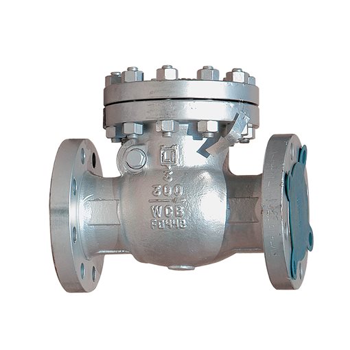 FLUVAL Swing Check Valves WCB/8 300lb RF 6"