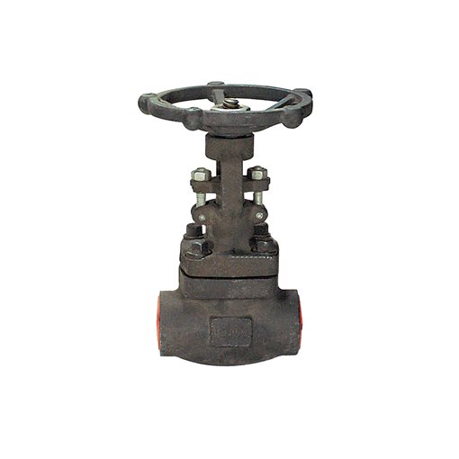 FLUVAL Gate Valves A105/8 FB 800# SW with Hand-Wheel 1"